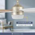 thumbnail image 5 of Prominence Home Atlas 44" Champagne Ceiling Fan with Light, Remote Control, 4 Blades & Reverse Airflow, 5 of 14