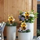 thumbnail image 4 of Estaca decorativa para jardín de abejas | Arte de metal resistente a la intemperie | Decoración caprichosa para exteriores, 4 of 5