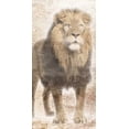 thumbnail image 2 of Grey, Jace 9x14 White Modern Wood Framed Museum Art Print Titled - African Traveling  Animals Three, 2 of 4