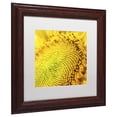 thumbnail image 4 of Trademark Fine Art "Glistening Sunflower Nectar" Canvas Art by Kurt Shaffer, White Matte, Wood Frame, 4 of 4