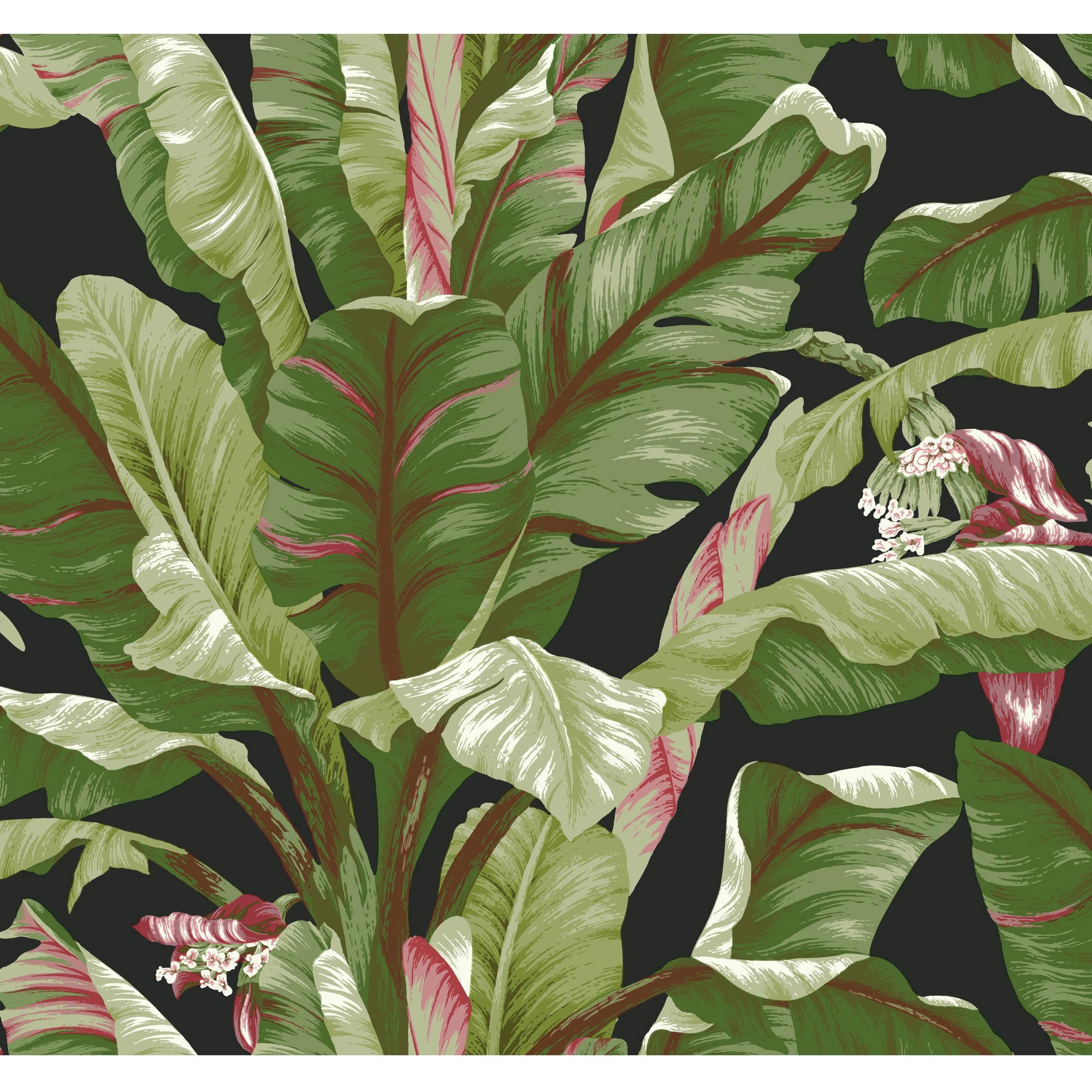 York Wallcoverings Tropics Banana Leaf Removable Wallpaper - Walmart