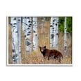 thumbnail image 4 of Stupell Industries Bear Cub Birch Tree Thicket Animals & Insects Photography White Framed Art Print Wall Art, 4 of 5