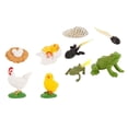 thumbnail image 4 of Las figuras de animales de simulación de juguetes para establecen el proceso de gallo Zulema Juego de crecimiento de insectos para niños, 4 of 5