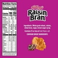 thumbnail image 3 of Kellogg's Raisin Bran Breakfast Cereal, Fiber Cereal, Family Breakfast, Family Size, Original, 22.1oz Box (1 Box)pack of 2, 3 of 5