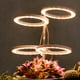 thumbnail image 2 of Lámpara LED de crecimiento para plantas con anillo angelical, espectro completo para interiores, ideal para suculentas y flores, temporizador inteligente, conexión USB, 3 cabezales, luz solar, 2 of 6