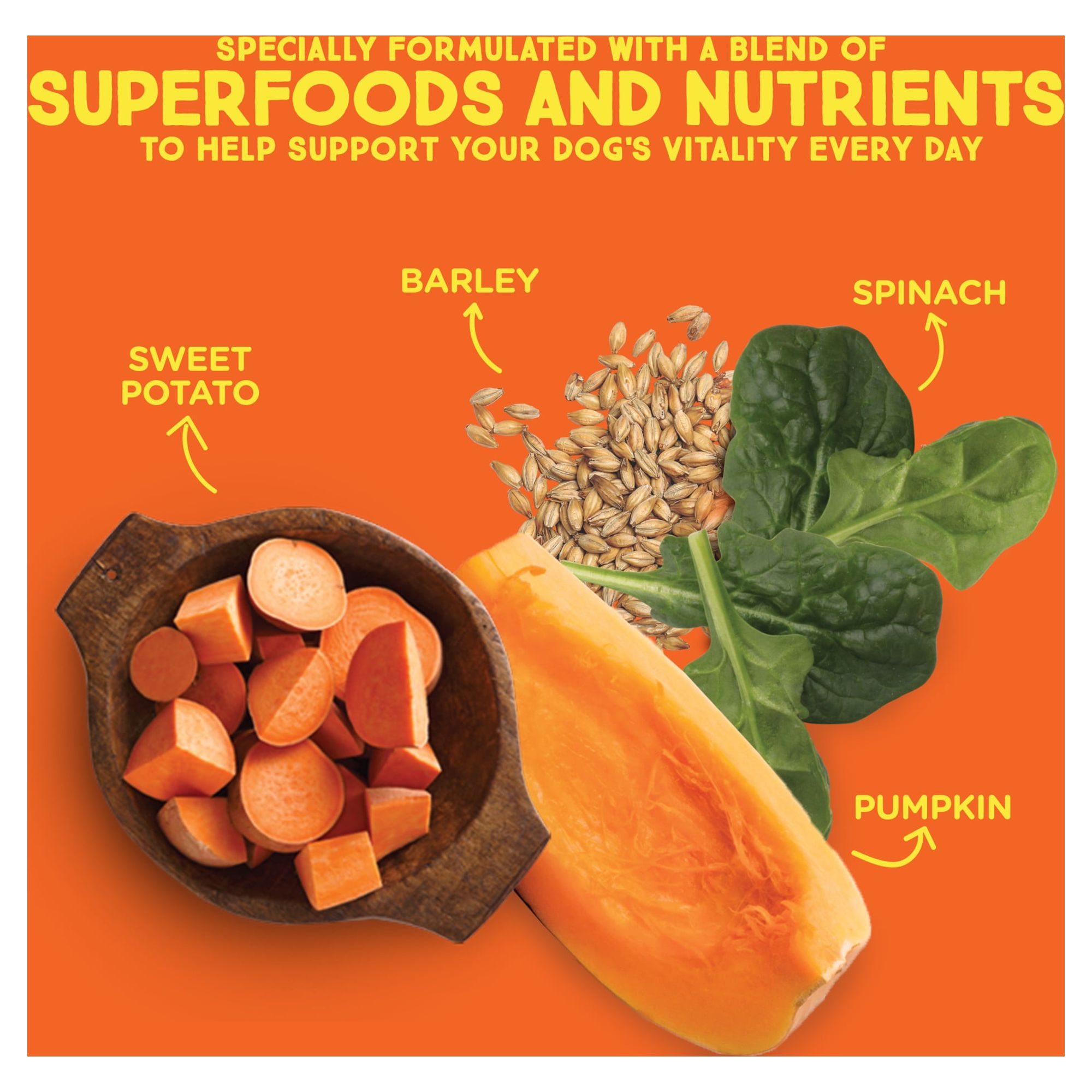 Rachael Ray Nutrish SuperMedleys Vitality Blend Superfoods & Beef Recipe, Dry Dog Food, 22 lb (Packaging May Vary)