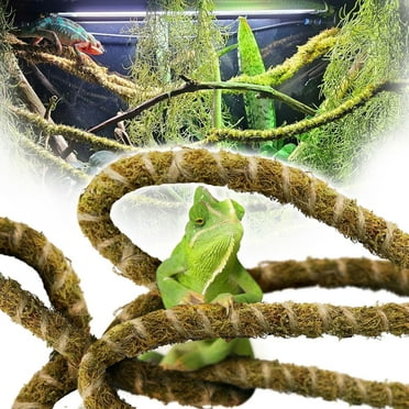 Premium AI Image | Toys For Reptiles Climbing Branches Isolated Generative AI