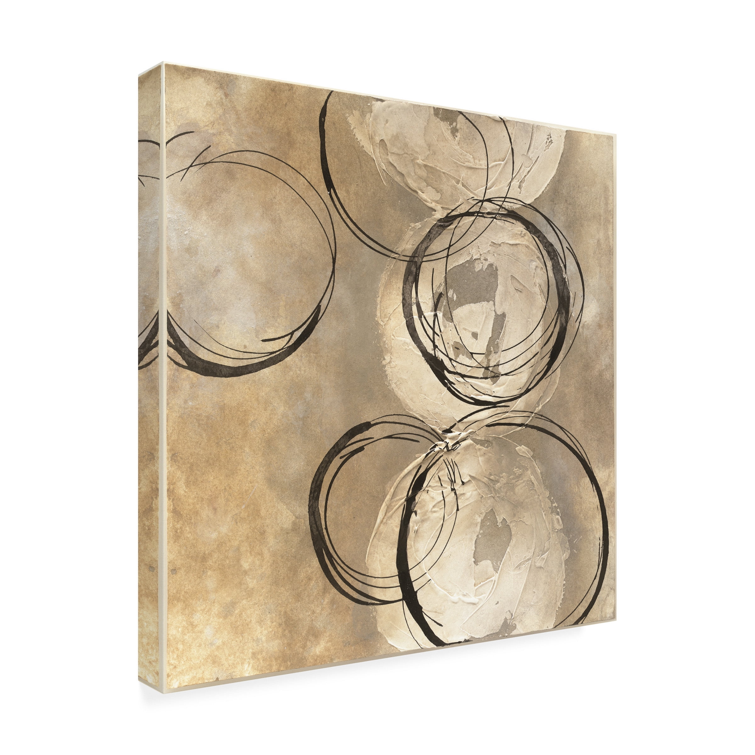 Trademark Fine Art 'Circle in a Square II' Canvas Art by Chris Paschke