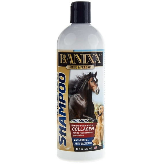 Sherborne Banixx Shampoo with Collagen 16oz