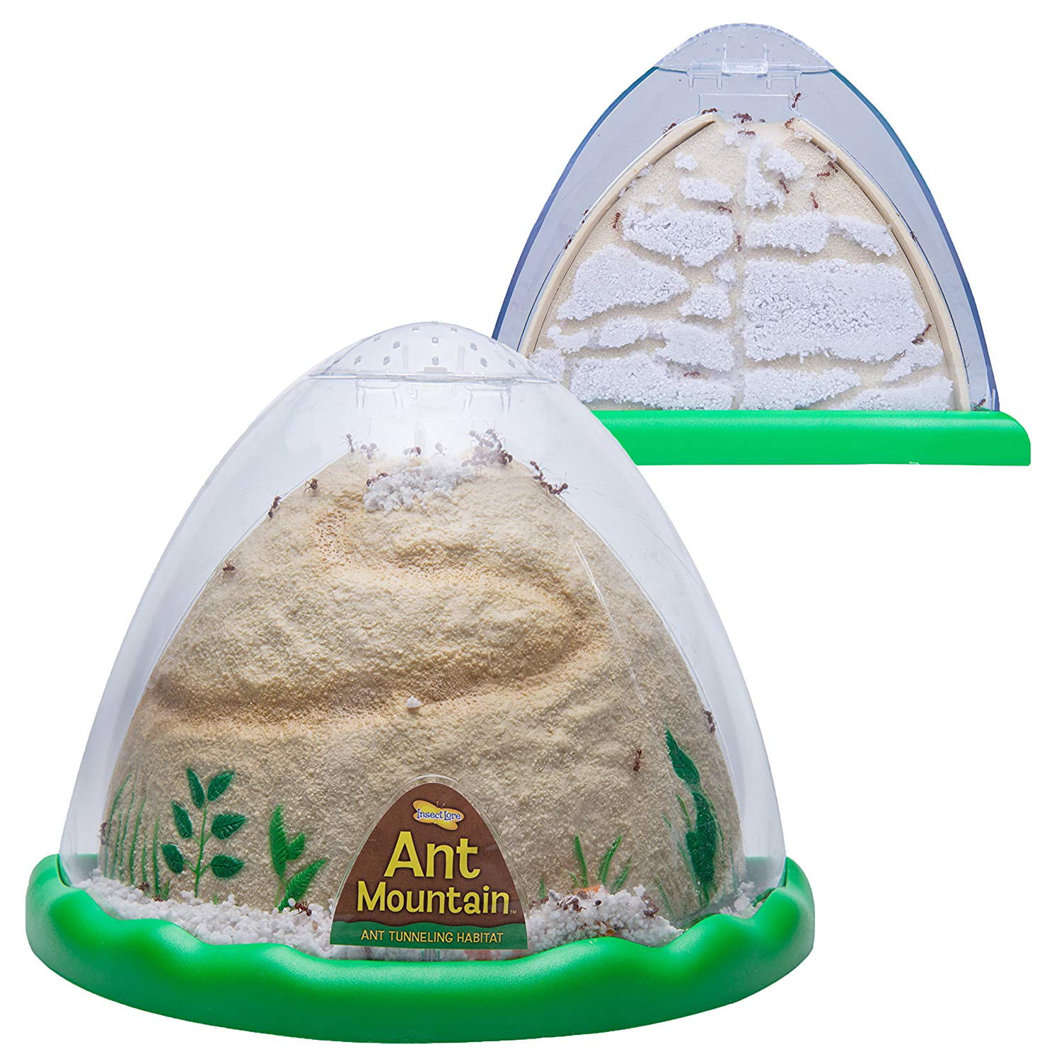 Insect Lore Ilp5510 ANT Mountain for sale online 