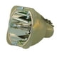 Lutema Ampoule Platine pour Lampe de Projecteur Optoma HD800XLV (Voix Originale Philips à l'Intérieur) – image 1 sur 5