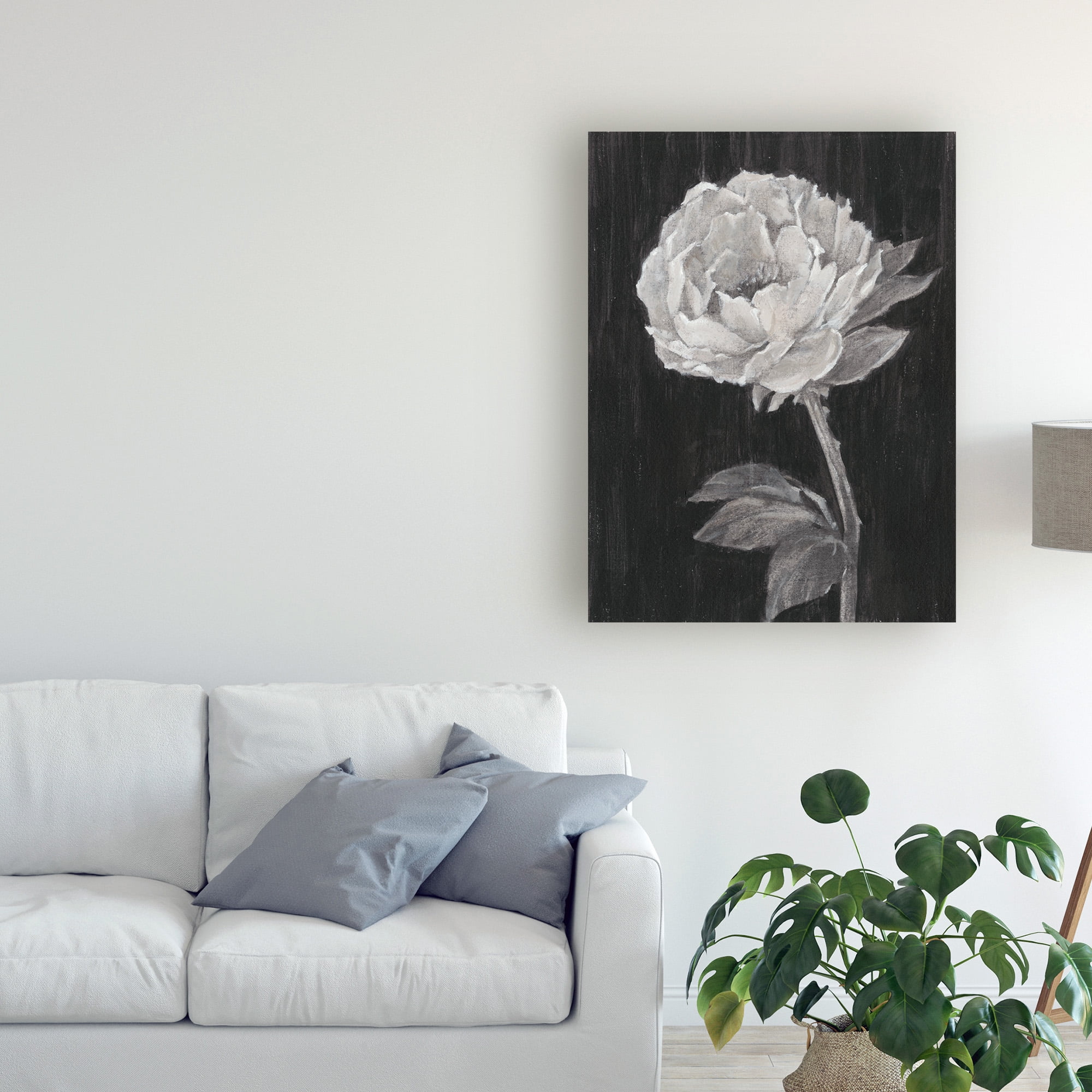 Trademark Fine Art 'Black and White Flowers II' Canvas Art by Ethan Harper