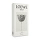 thumbnail image 3 of Solo Loewe Ella 100Ml Edp Spray, 3 of 3