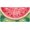 Color 9, variant on Tree Purple Heart Door Rust-Free Rv Decorative License Plate with Auto Plate Cover, Aluminum, Waterproof