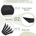 thumbnail image 3 of Arrow Vanes Turkey Archery Arrows Feathers Fletching, Left Wing Fit for Hunting Target Shooting Black, 3 of 5