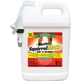 thumbnail image 7 of Nature's MACE Squirrel Repellent, 1 Gallon Ready-to-Use Spray, Treats up to 5,600 Sq.ft,, 7 of 7