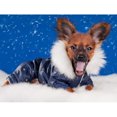 thumbnail image 1 of Pintura de diamante (DE6319) Kit de bricolaje Perro Cachorro Cuadro de diamantes de imitación redondo completo (WY047) 40x50cm Hugtrwg Para estrenar, 1 of 1