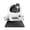 White, variant on Litter-Robot EVO Core Bundle, Self-Cleaning Cat Litter Box with Accessories, Black