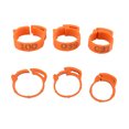 thumbnail image 4 of 100pcs/pack Disposable Foot Rings Mark Buckle With Words Suitable For Chicken Goose Duck, 4 of 9