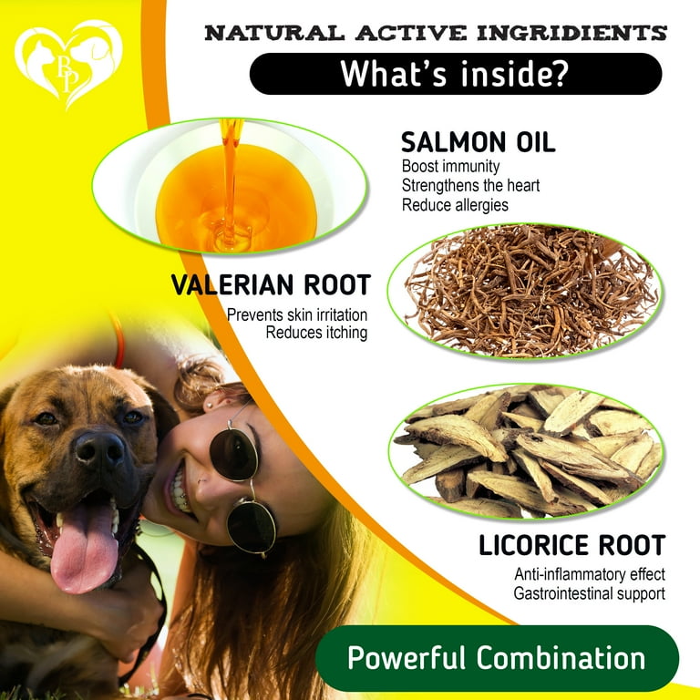 Dry itchy skin on dogs remedy hot sale
