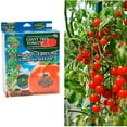 thumbnail image 2 of Gardener's Choice Tomate Géante - Inclut 6 Pots Pré-Semés, 2 of 2