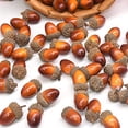 thumbnail image 3 of maskred 50 Pcs de Glands Réalistes en Mousse, Couverture Naturelle, Lot de 50 Fruits pour Fêtes d'Automne, 3 of 6