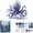 #5172-A, variant on Creatitoy Mythical Bead Making Kit For Beginners - DIY Sea Creature Beaded Figurine Making Craft Kit With Sparkling Crystal Beads, Sea-Glass Beads & Photo Instructions for Room Decor, Shelf Display