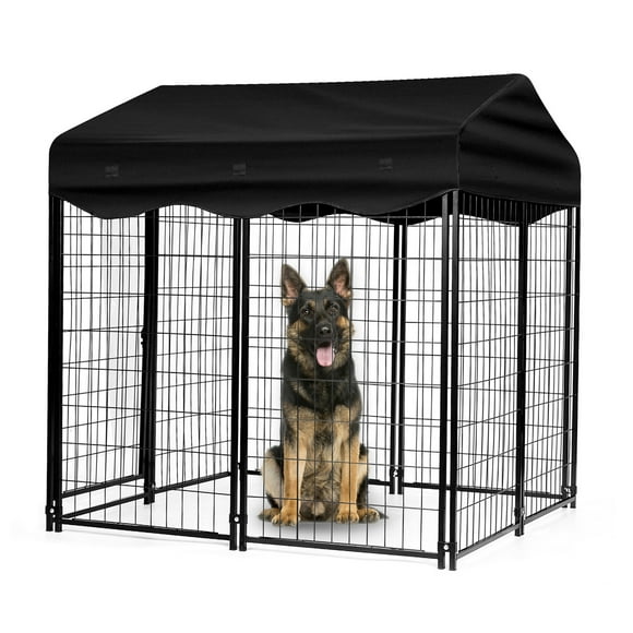 Outdoor Dog Kennels in Dog Kennels