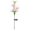Pink, variant on Mecorevxz Solar Garden Stake Lights Outdoor and LED Fiber Optics Lilys,Hummingbirds Lamps,Garden Lawns,Courtyard Lighting(White)