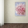 thumbnail image 3 of Trademark Fine Art "Pink Peonie I" Canvas Art by Li Bo, 3 of 3