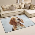 thumbnail image 2 of Coolnut Lightweight Carpet Mats, 31 x 20 inches Area Soft Rugs Floor Mat Doormat Decoration for Rooms Entrance Dog Over Light Gray, 2 of 6