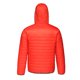 thumbnail image 3 of Regatta - Chaqueta con Capucha Arcadia II para Hombre (Rojo Luminoso/Negro Azabache) Regatta UTRG3745_luminousredjetblack, 3 of 3