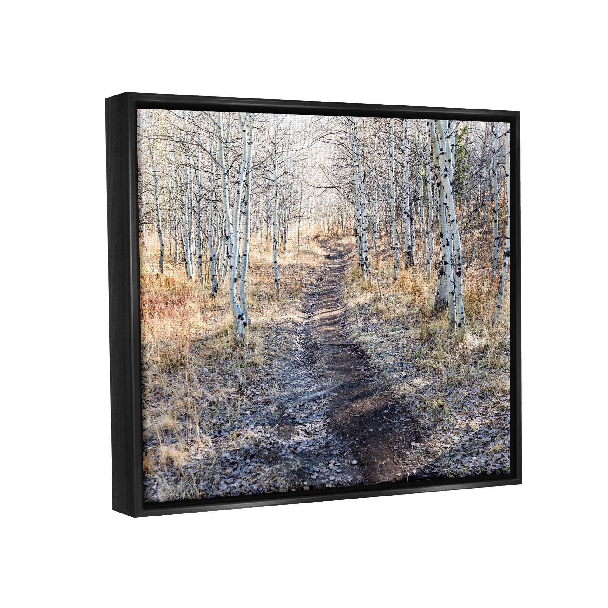 Stupell Industries Dirt Path Between Birch Tree Forest Woodland Scene Photograph Jet Black Floating Framed Canvas Print Wall Art, Design by Steve Smith