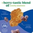 thumbnail image 3 of 2 Pack - Kashi Breakfast Cereal, Organic, Whole Grain, Blueberry Clusters, 17.2oz Box (1 Box), 3 of 7