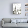 thumbnail image 3 of Jacob Green 'Continental Divide I' Canvas Art, 3 of 3