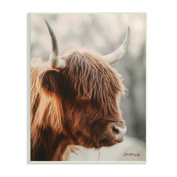 Stupell Industries Calm Highland Cow Cattle Portrait Horns Photography Photograph Unframed Art Print Wall Art, Design by Dakota Diener