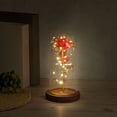 thumbnail image 6 of Uxcell Roses Flower in Glass Dome Crystal Flower Gifts Display with LED Fairy Light Red, 6 of 6
