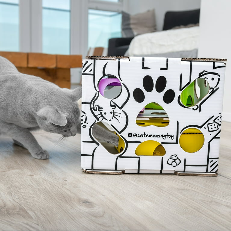 All for Paws Interactive Puzzle Cat Feeder, Treat Game Maze Toy
