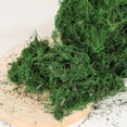 thumbnail image 3 of Billuyoard 300g Artificial musgo falso secado verde ladrillo liquen bloque plantas decorativas jardín centros de terrarios Decoración Plantas Artificiales, 3 of 6