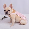 thumbnail image 5 of PUMYPOREITY Dog Sanitary Pantie, Washable Puppy Diaper with Suspender, Breathable Pet Underwear for Small and Medium Dog, 5 of 7