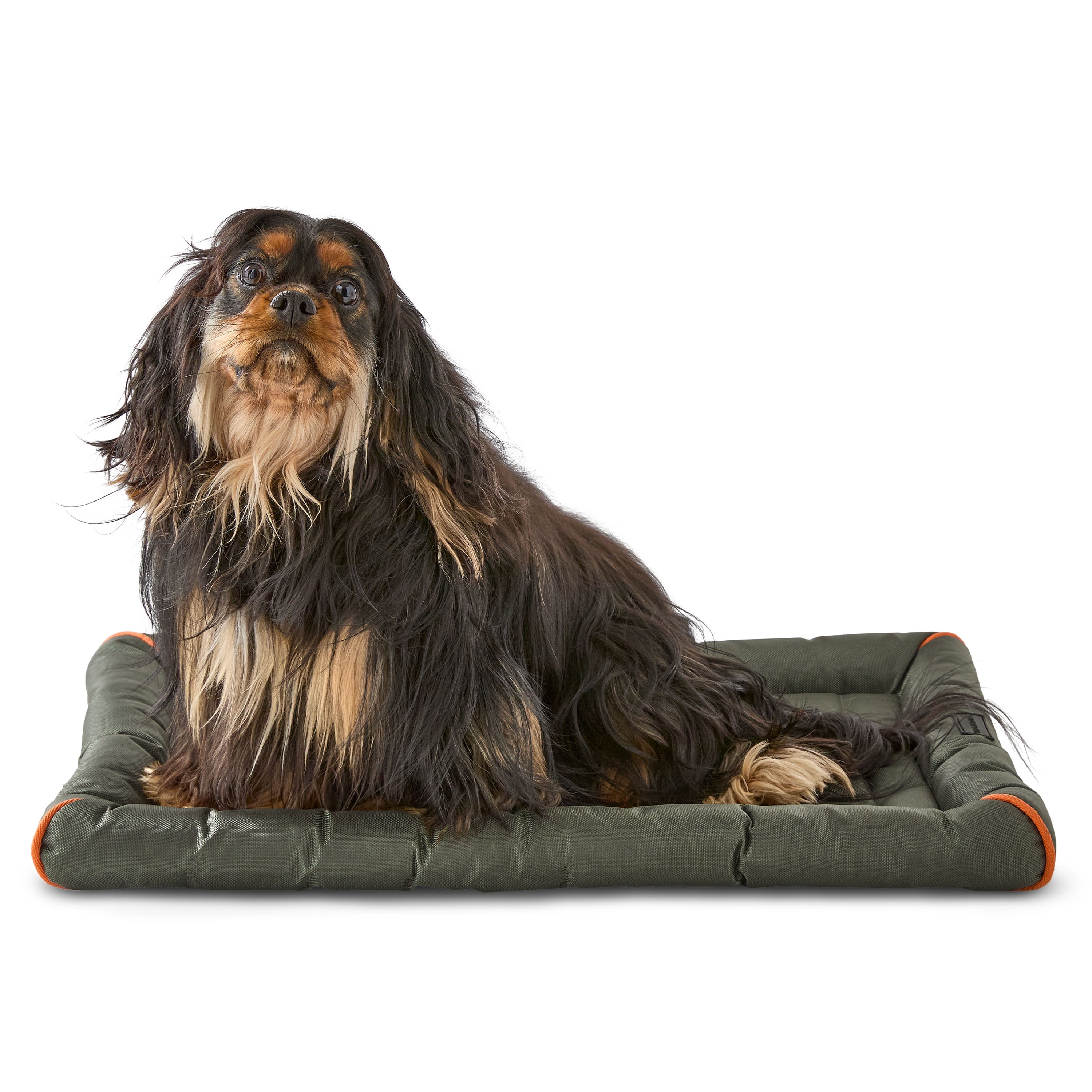 Vibrant Life Durable and Water Resistant Crate Pad, Green, Medium, 18" x 29"