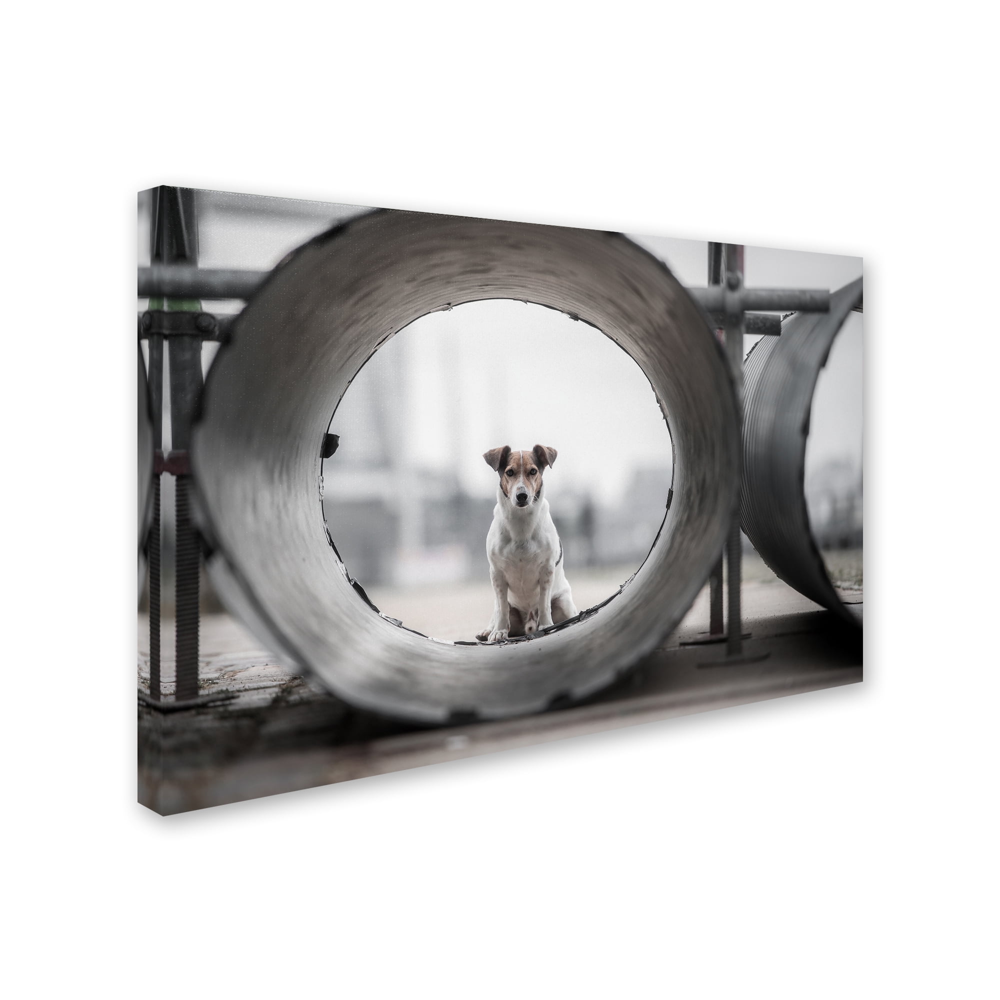 Trademark Fine Art 'My Name Is Bond' Canvas Art by Heike Willers