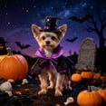 thumbnail image 6 of Aoznliie Dog Clothes, Halloween Pet Cloak with Hat for Party Apparel, 11x4 inch Adjustable Costume Set for Cats Dogs, Purple, 6 of 6