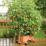 EarthBox Aluminum 5-foot Staking System for the EarthBox Original Gardening System - Terra