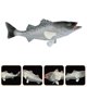 thumbnail image 3 of Simulation Weever Model Children Plaything Fish Figure Marine Animal Model, 3 of 4