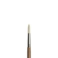 thumbnail image 2 of Winsor & Newton Artists' Oil Synthetic Hog Brush, Round, 8, 2 of 2