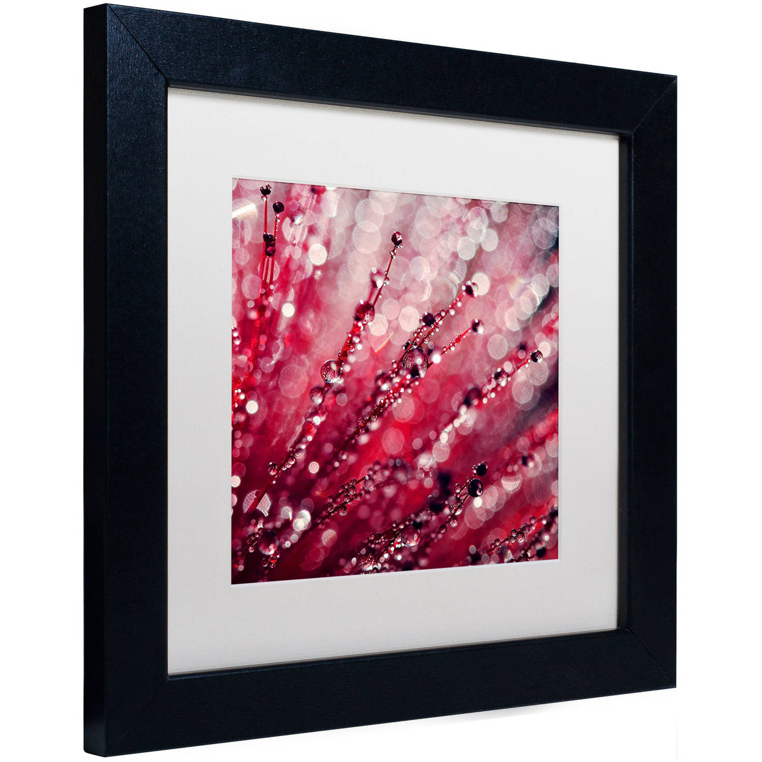 Trademark Fine Art "Red Melody" Canvas Art by Beata Czyzowska Young, White Matte, Black Frame