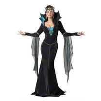 California Costumes Womens Evil Sorceress Costume Wicked Witch X-Large (12-14)