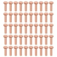 thumbnail image 1 of Unique Bargains 100 Pcs Boulons à Tête Plate Diamètre 3/32 Pieds 25/64 Pieds Rivets Solides en Cuivre, 1 of 1