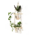 thumbnail image 4 of Tubo de ensayo de planta hidropónica de vidrio montado en la pared Tubo de ensayo hidropónico Decoración de pared Colgante de madera maciza Jarrón de pared montado en la pared, 4 of 4
